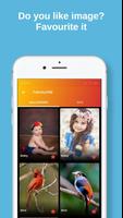 All Image Downloader تصوير الشاشة 2