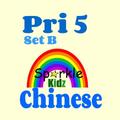”P5 Chinese Set B