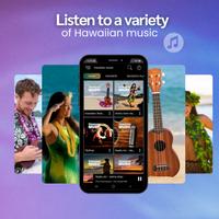 Hawaiian Music 스크린샷 1