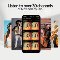 Mexican Music imagem de tela 1