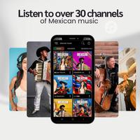 Mexican Music screenshot 1