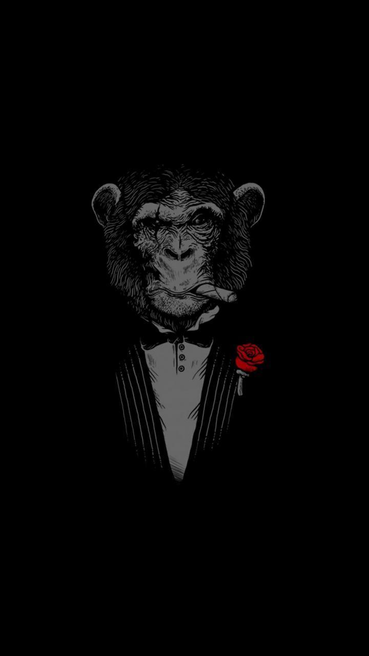 Amoled Display 4k Wallpapers For Android Apk Download