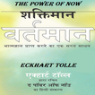The Power Of Now Hindi