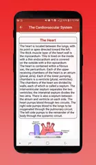 download Corpo umano e organi APK