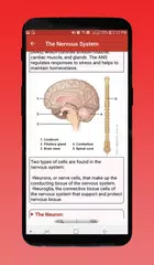 download Corpo umano e organi APK