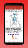 پوستر Human Body System