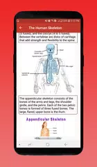 download Corpo umano e organi APK