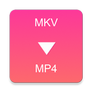 MKV to MP4 Converter APK
