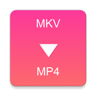 MKV to MP4 Converter icône