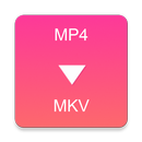 MP4 to MKV Converter APK