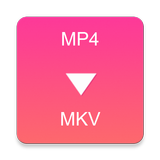 MP4 to MKV Converter