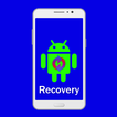 Factory Reset Recovery Guide