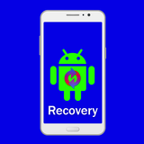Factory Reset Recovery Guide أيقونة