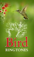 Bird Ringtones poster