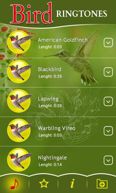 Рингтон bird. Птицы рингтоны. Mockingbird рингтон. Bird Sounds and Ringtones.