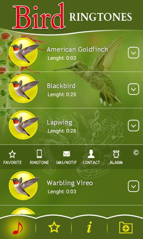 Рингтон птичка. Птицы рингтоны. Программа рингтонов птички на зеленом фоне. Игра где мелодия и птица. Рингтон bird