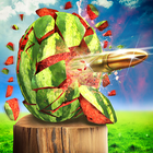 Watermelon Shooting 3D icon