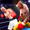 Boxing Revolution - Boxing Punch Games