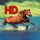 Horse Wallpapers 4k आइकन