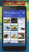 Horse Wallpapers 4k โปสเตอร์