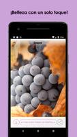 Imágenes en HD para el teléfono 2018 captura de pantalla 3