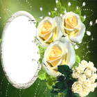 Icona Women Day Frame