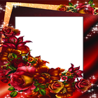 Women Photo Frame icon
