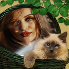 Animal Photo Frames icon