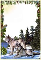 Animal Photo Frames poster
