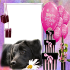 생일 프레임 아이콘