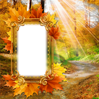 Frame Autumn icon