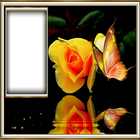 Rose Photo Frame 圖標