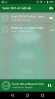 Tafheem ul Quran Full Audio capture d'écran 3