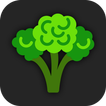 Healthy Vegetarian Recipes icon
