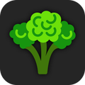 Healthy Vegetarian Recipes