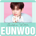 Selfie With Cha Eunwoo ( ASTRO )