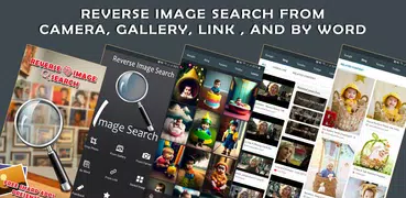 Reverse Image Search