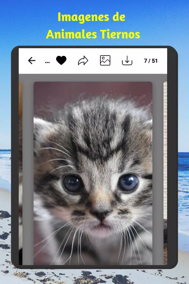 Imágenes de Animales Tiernos - Fondos de Pantalla APK für Android herunterladen Imágenes de Animales Tiernos - Fondos de Pantalla APK für Android herunterladen