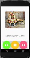 Shiv Shankar Mantras imagem de tela 2