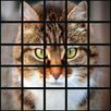Puzzle Picture APK