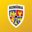 Tricolorii icon