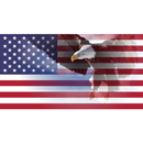 Star Spangled Alarm Clock-APK