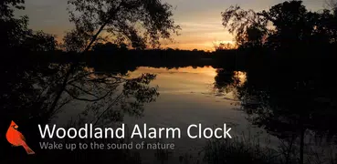 Woodland Alarm Clock