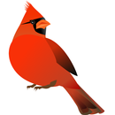 Woodland Alarm Clock APK