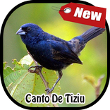 Canto De Tizu Completo