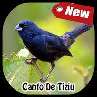 Canto De Tizu Completo capture d'écran 1