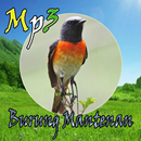 Kicau Burung Mantenan Mp3 APK