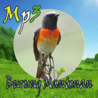 Kicau Burung Mantenan Mp3 simgesi