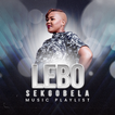 Lebo Sekgobela All Songs