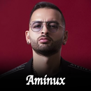 أغاني امينوكس بدون نت APK